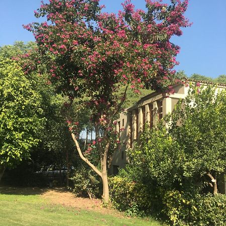 Villa At Tarudhan Valley Golf Resort Manesar Exteriör bild